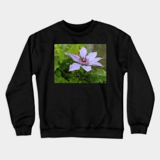 Lavender Flower 1 Crewneck Sweatshirt